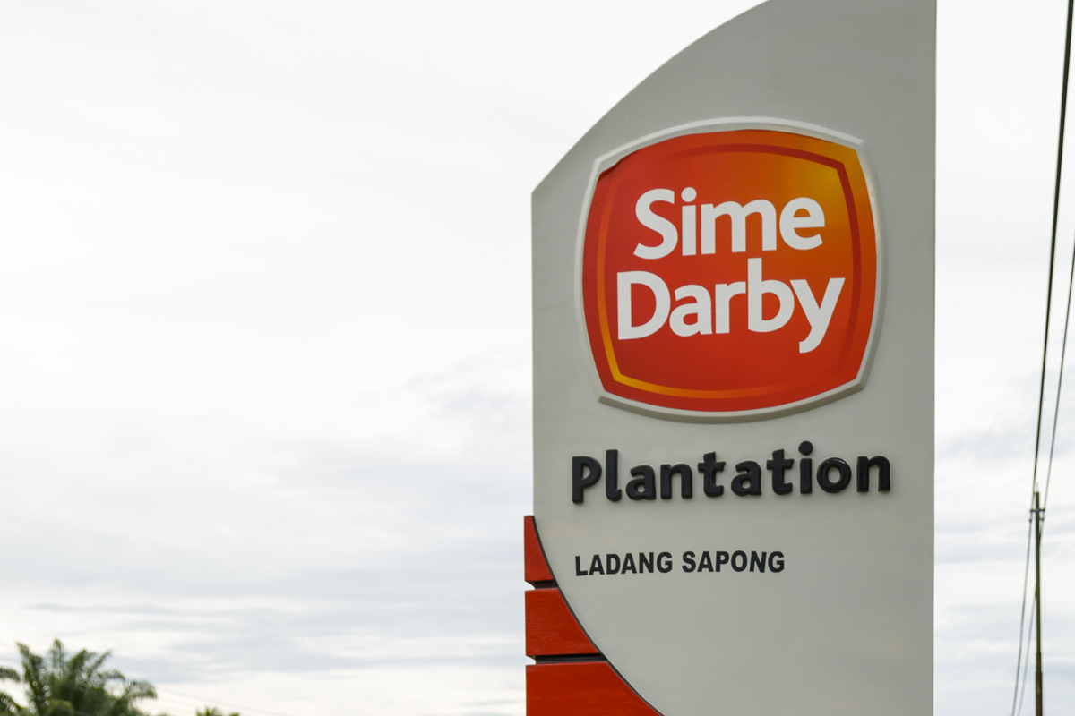 Sime plantation share price
